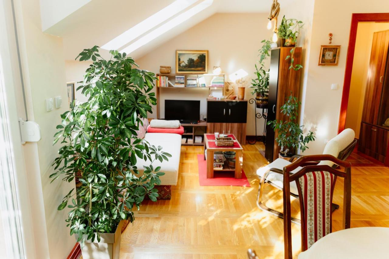 Apartman Zamak Sombor Exterior foto